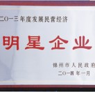 2013年度发展民营经济明星企业