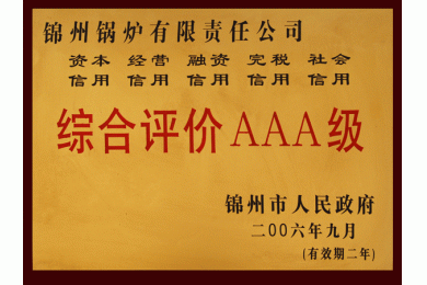 06年综合评价AAA级
