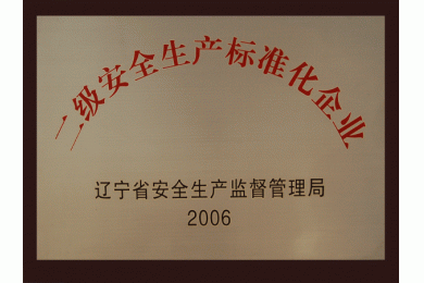 二级安全生产标准化企业