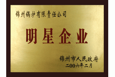 06年明星企业